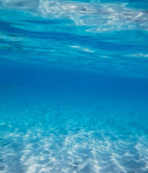 Blue vlldld