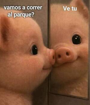 Conchi