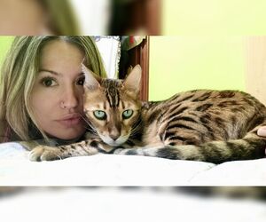 Aroa