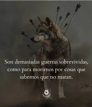 WOLF
