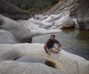Alber