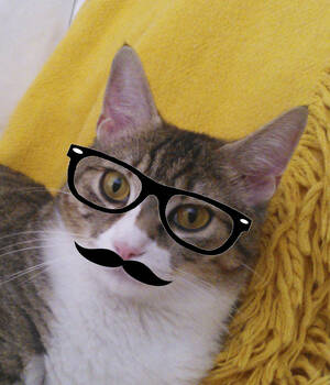 Fran