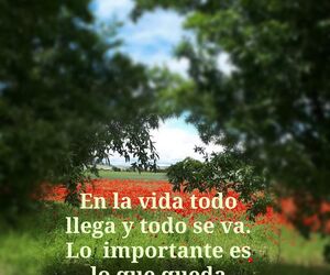 Javier Javier