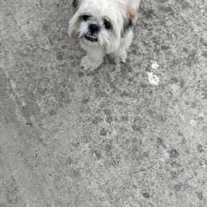 Álvaro