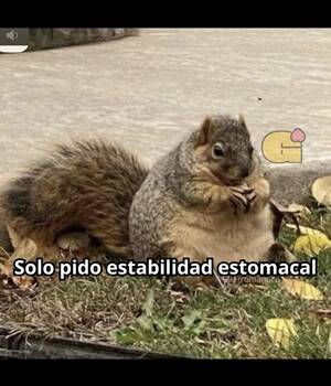 Chechu