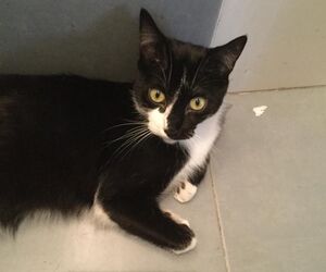 Carlos