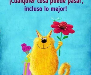 cris