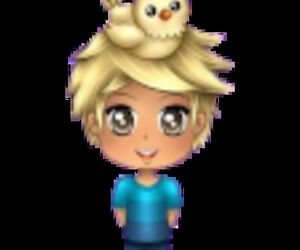 david