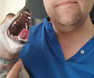 marcos