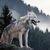 Loba