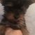 beatrizpsanz0@