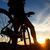 Motero custom