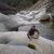 Alber