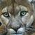 ElPUMA