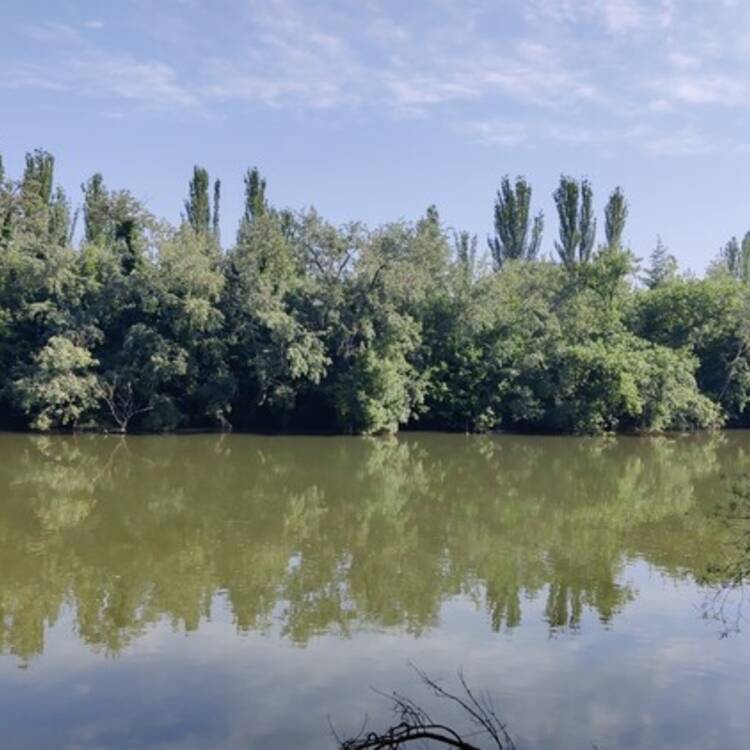 Foto de perfil de AJVATK