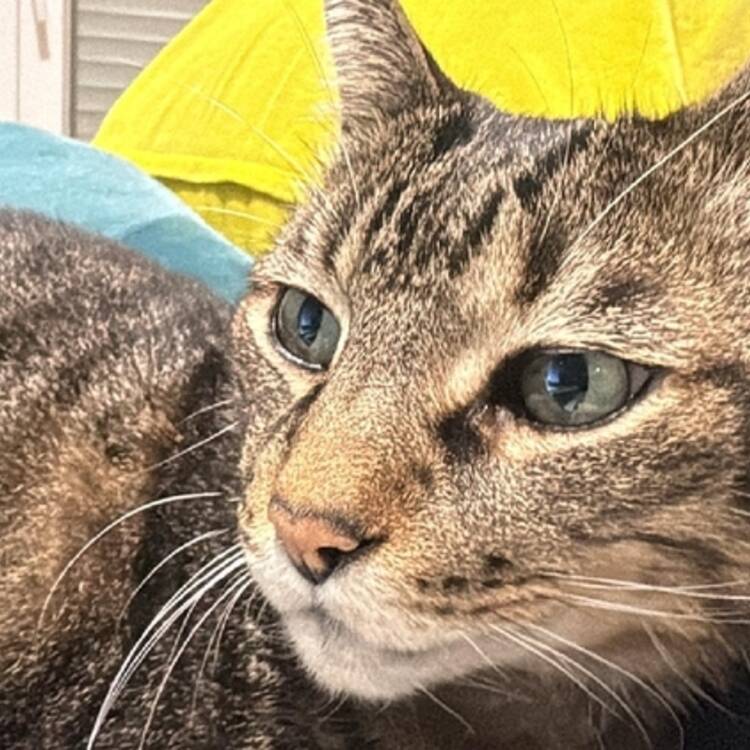 Foto de perfil de Fer