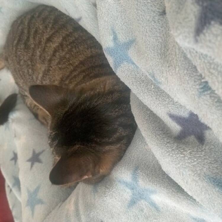 Foto de perfil de Alejandro