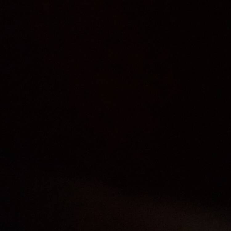 Foto de perfil de Maria