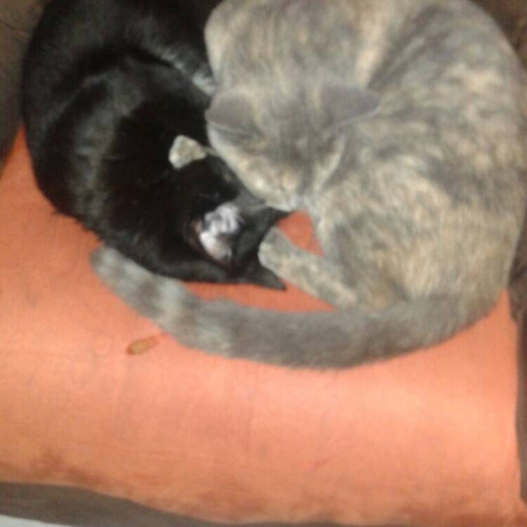 Foto de perfil de Solan2508
