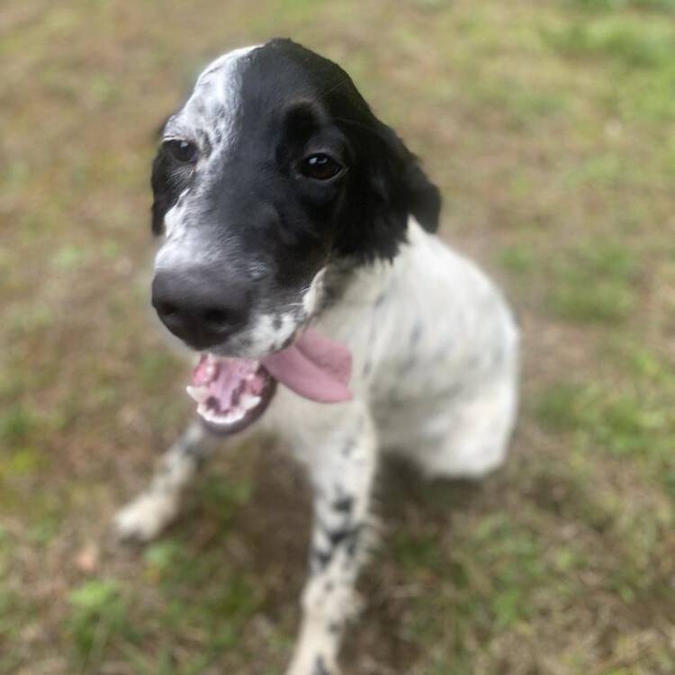 Foto de perfil de Julio