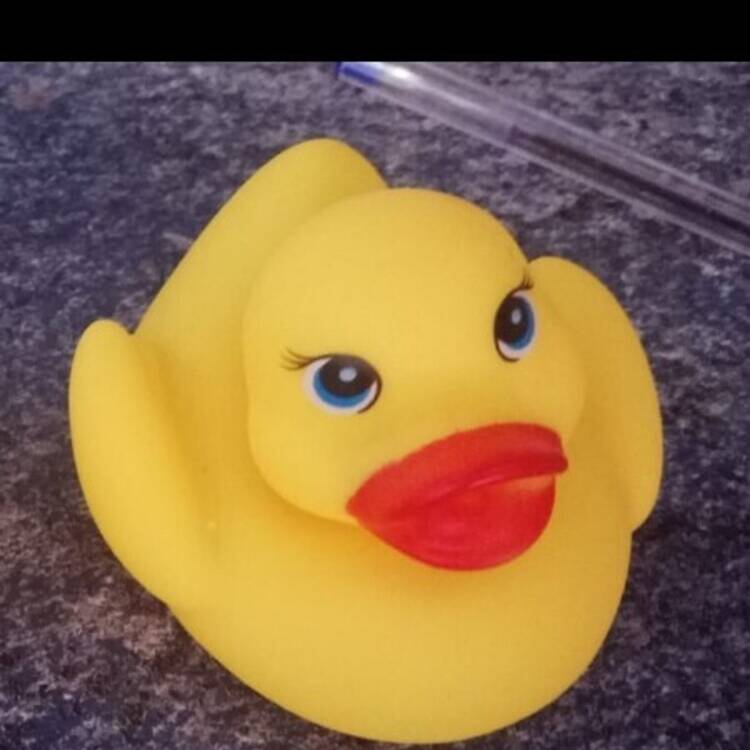 Foto de perfil de Pablo