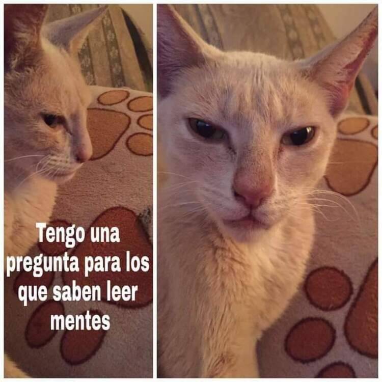 Foto de perfil de Patricia