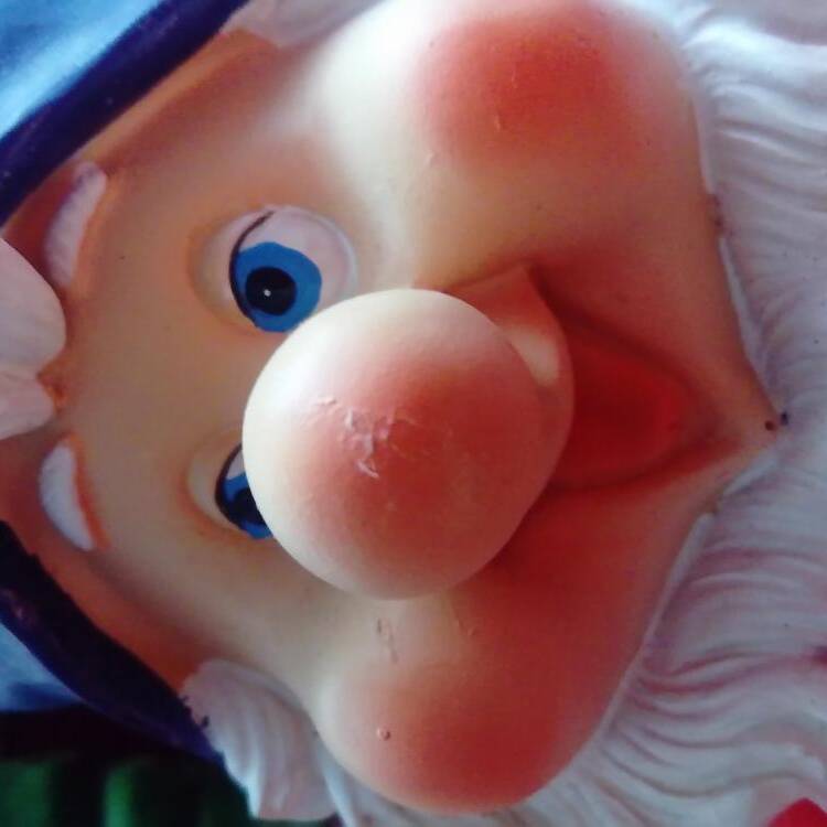 Foto de perfil de Kuga