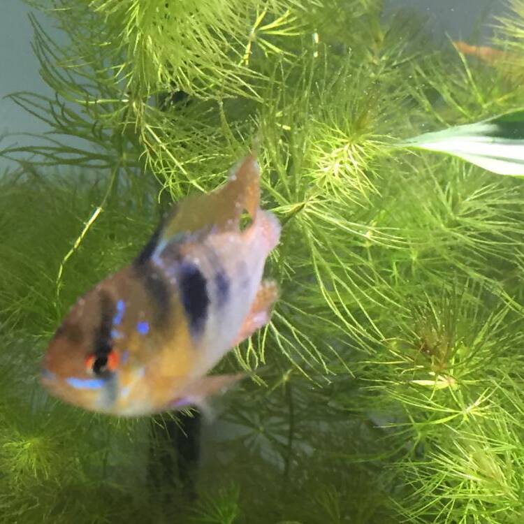 Foto de perfil de Ruben