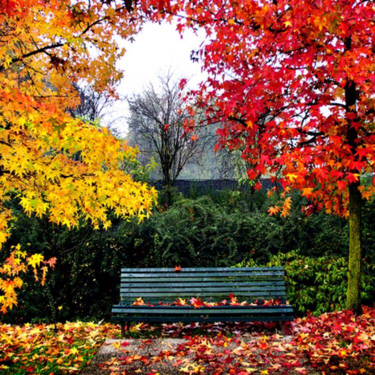 Foto de perfil de ANA