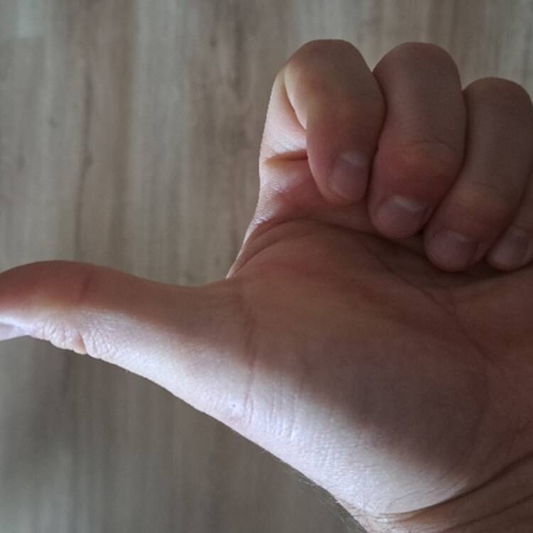 Foto de perfil de Latino