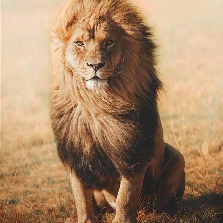 Foto de perfil de Sergio