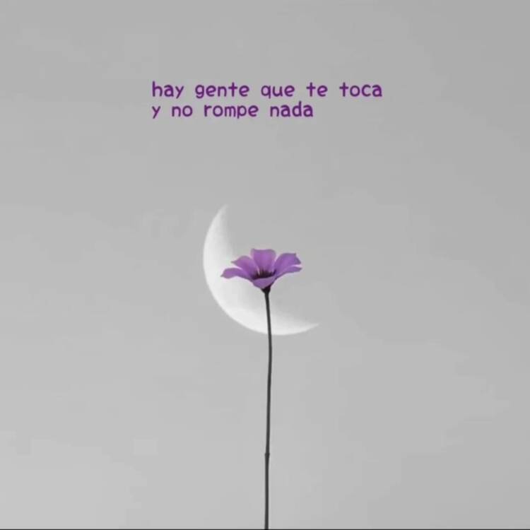 Foto de perfil de Luz