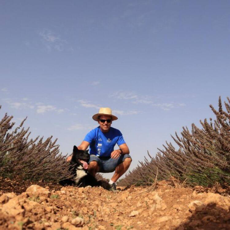 Foto de perfil de jorge