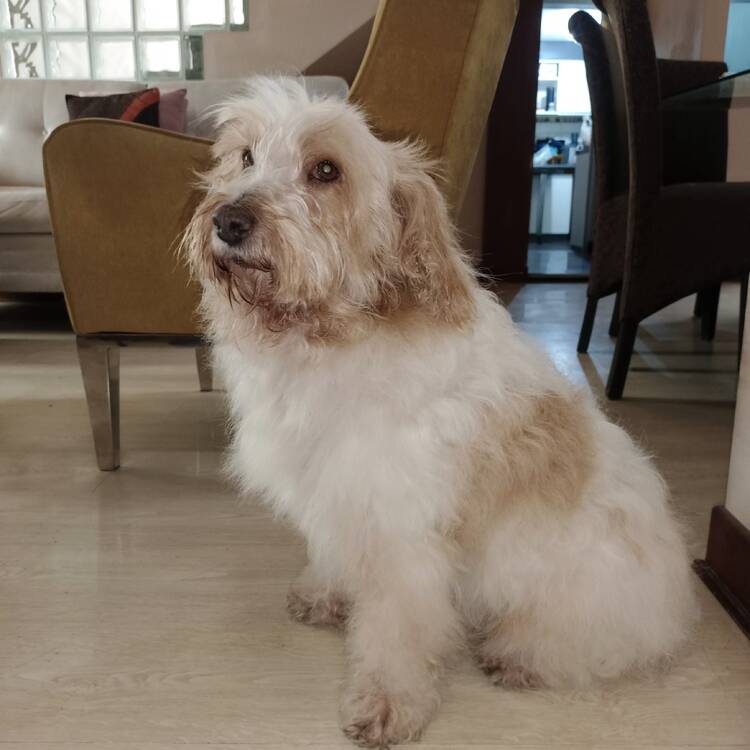 Foto de perfil de Ricardo