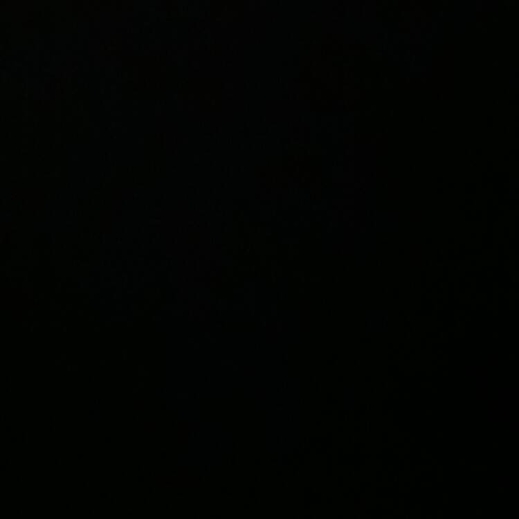 Foto de perfil de javier