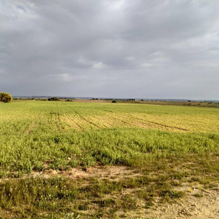 Foto de perfil de Marea