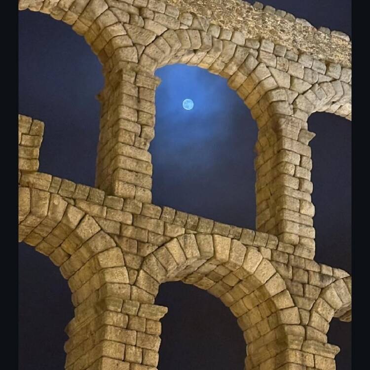 Foto de perfil de Sofia