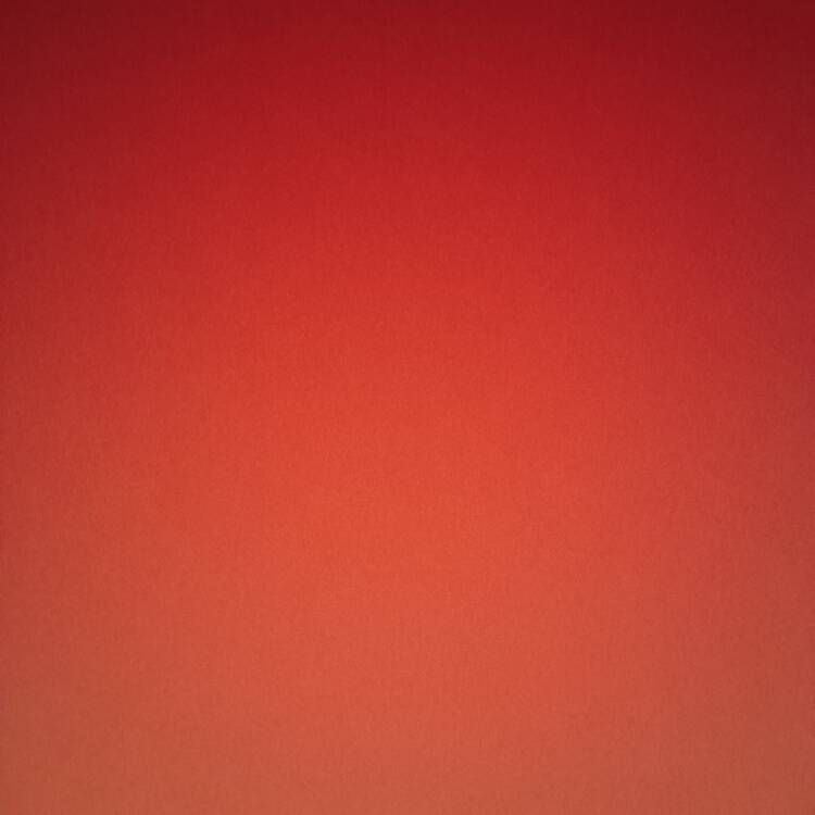 Foto de perfil de Laura