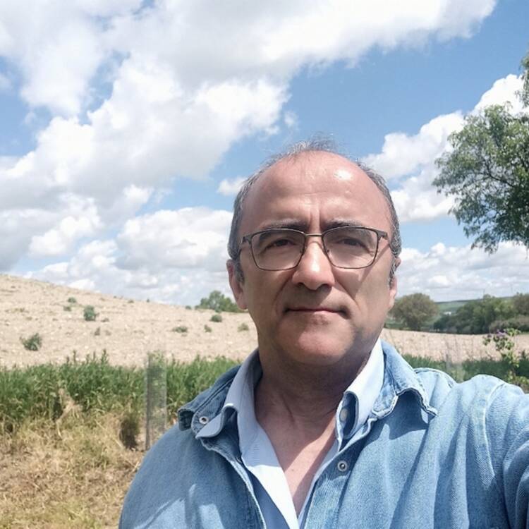 Foto de perfil de Miguel Ángel