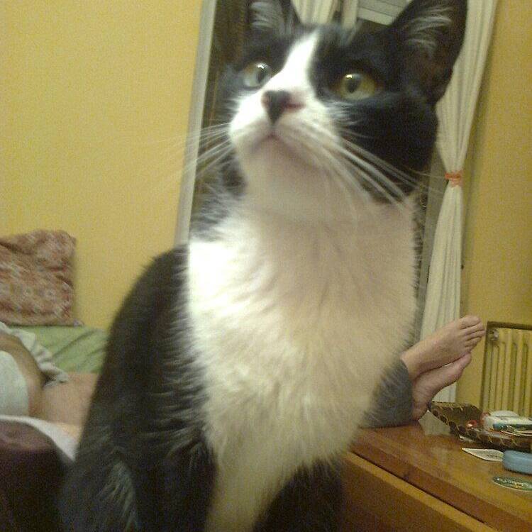 Foto de perfil de Charo