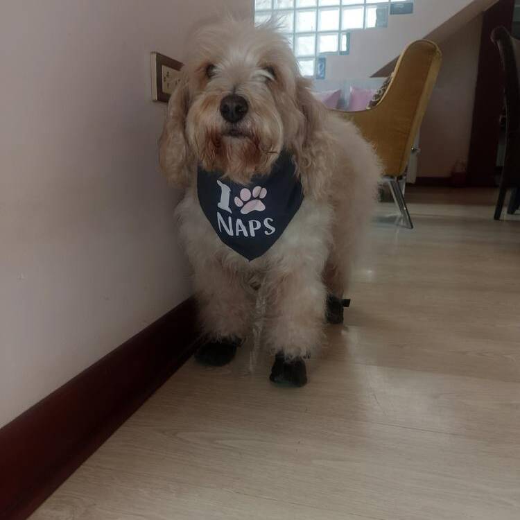 Foto de perfil de Ricardo