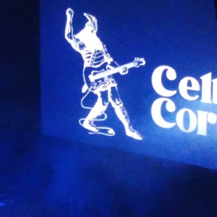 Foto de perfil de Pedro