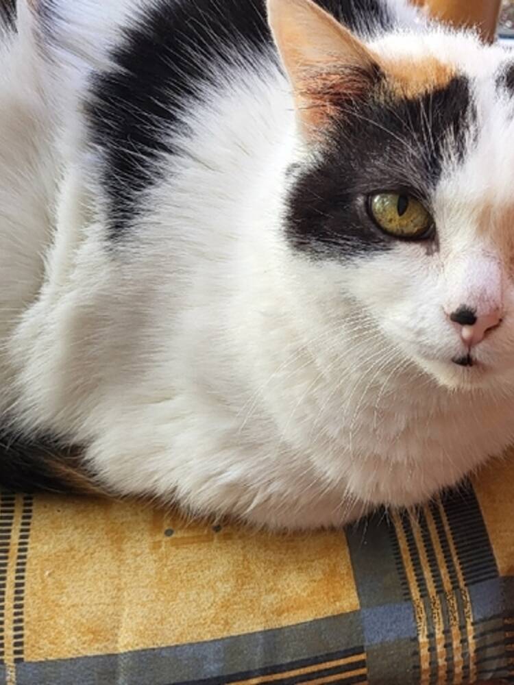 Foto de perfil de Maria