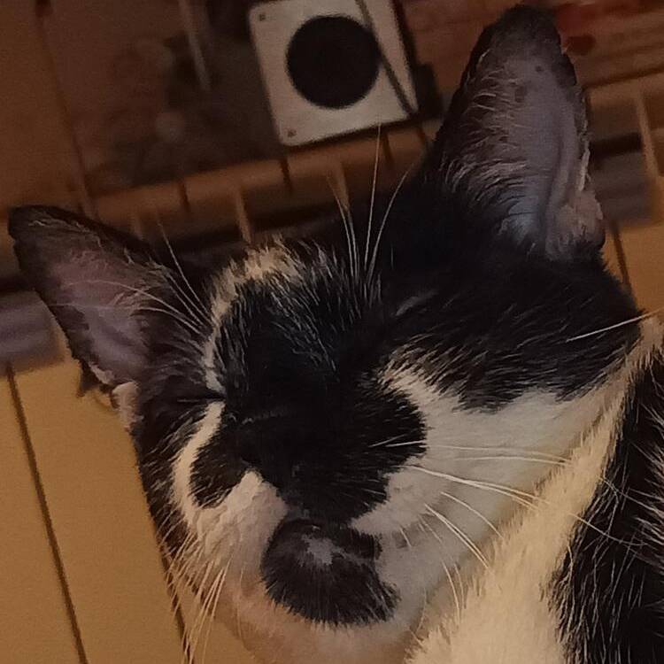 Foto de perfil de 1234