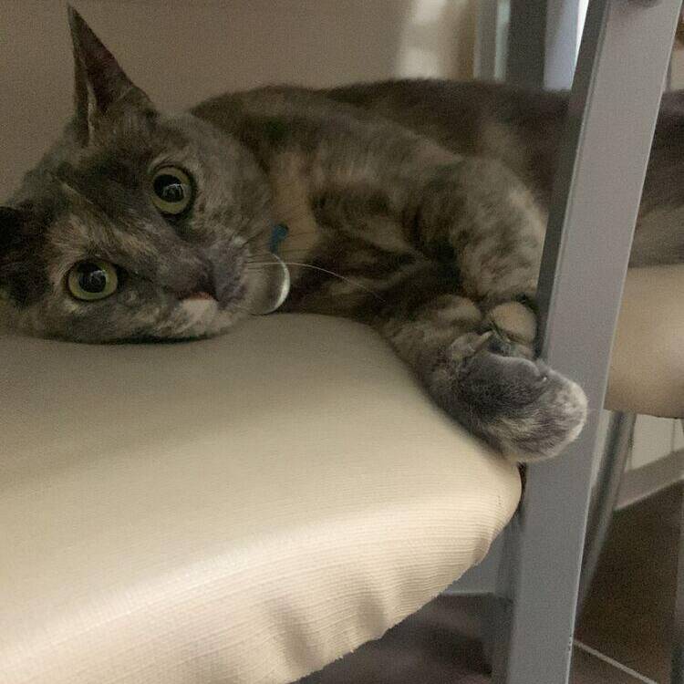 Foto de perfil de Victor