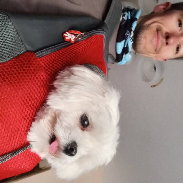 Foto de perfil de Nino