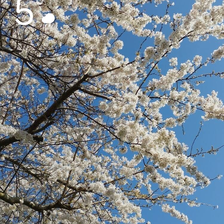 Foto de perfil de Maria