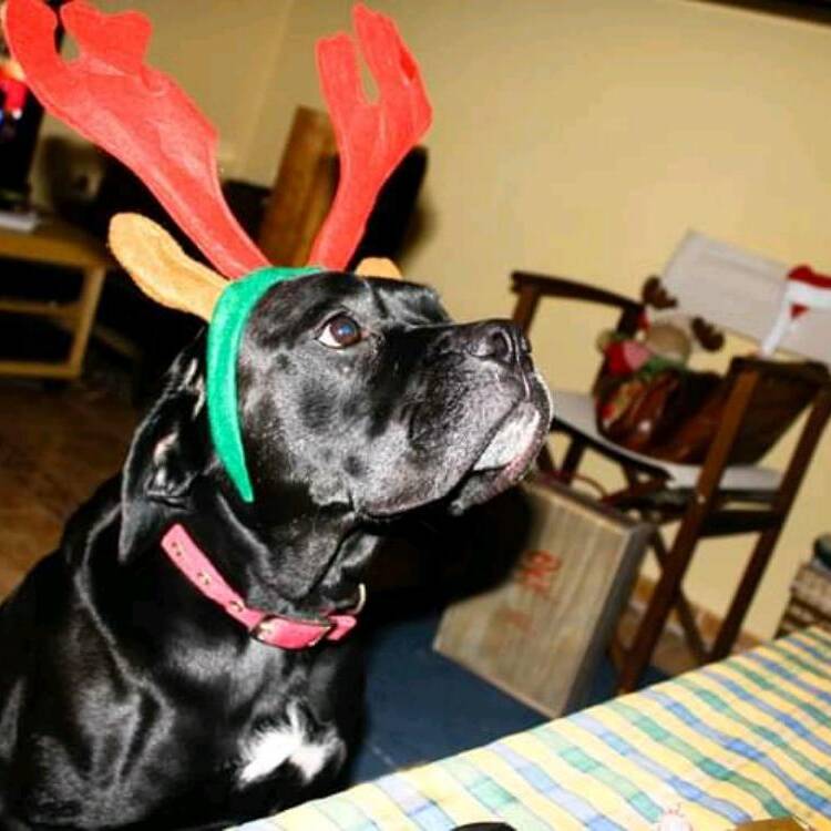 Foto de perfil de Ricardo1001