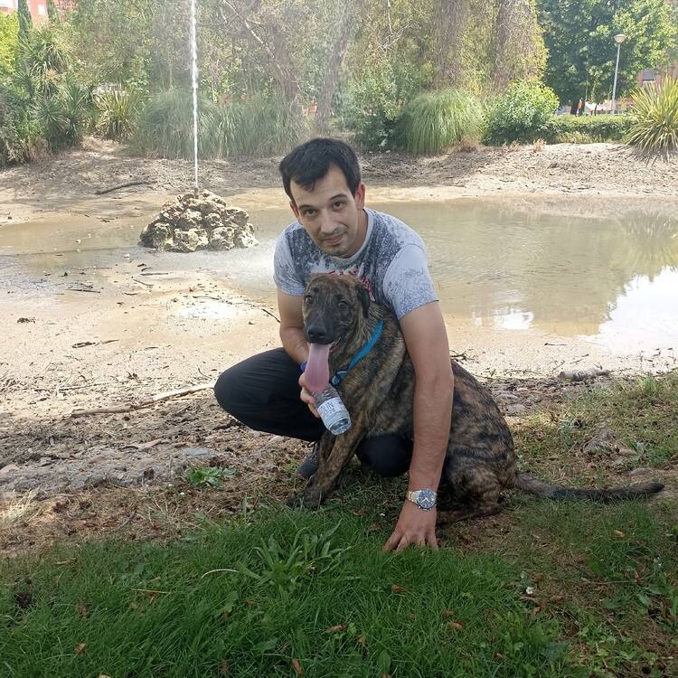 Foto de perfil de Marco