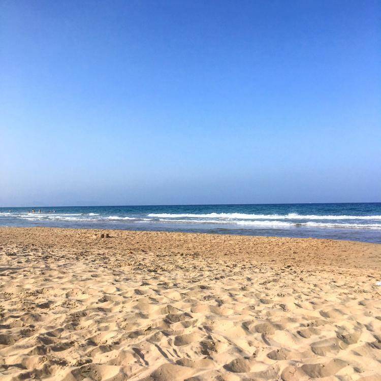 Foto de perfil de Pec